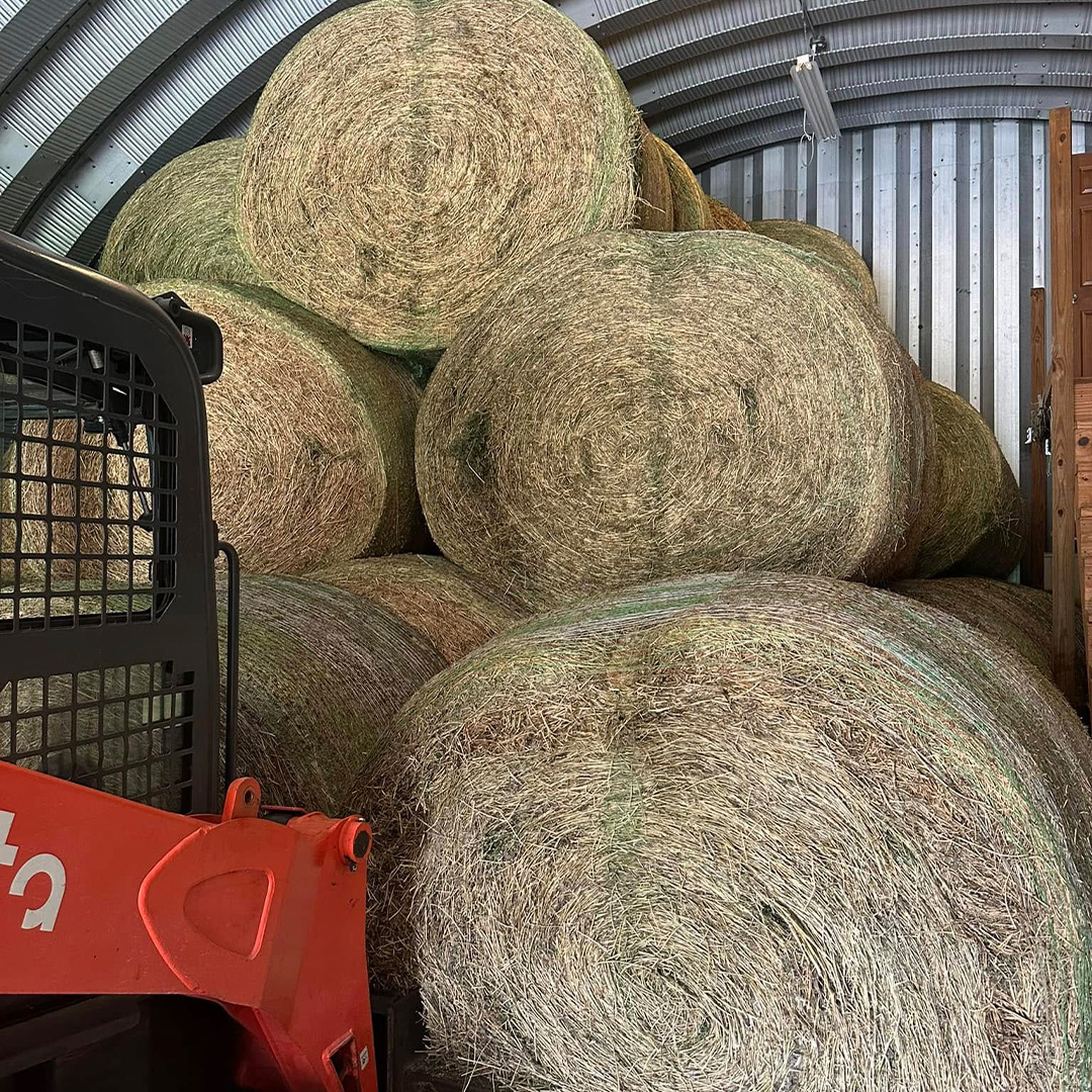 rhr-alfalfa-round-bales-1080